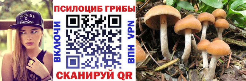 Галлюциногенные грибы ЛСД Купить Фролово